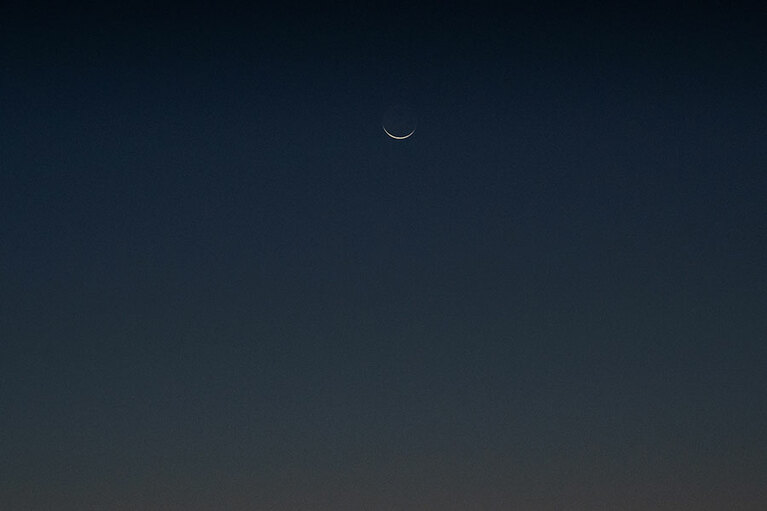 オディッシー Odyssea。