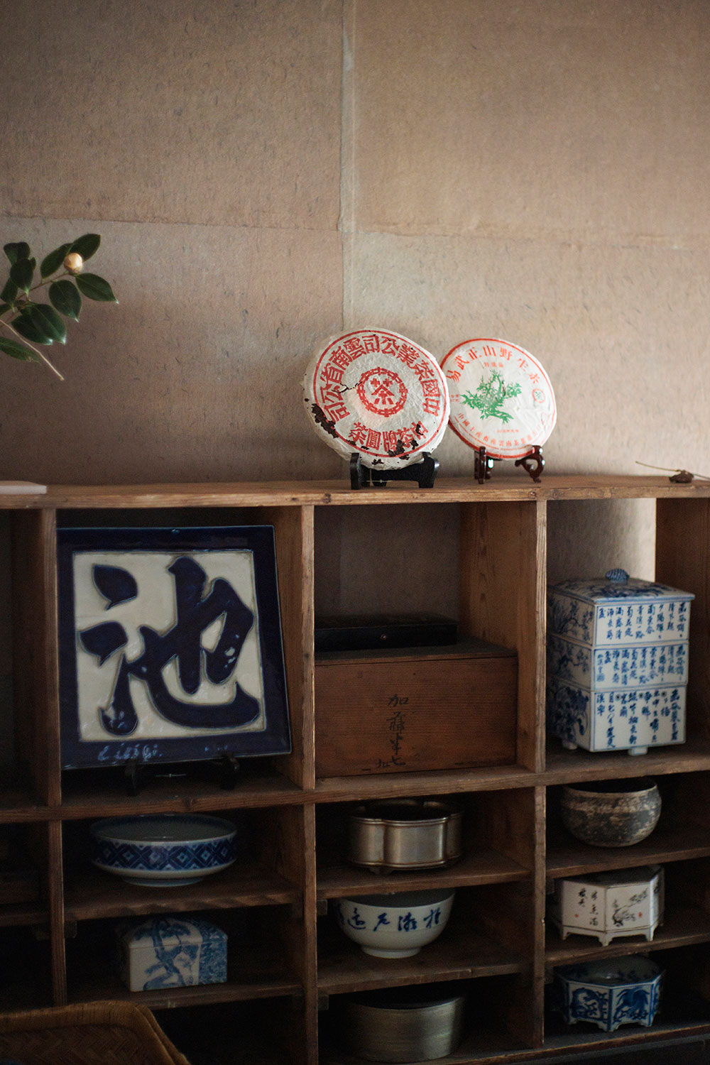 小嶋さんの実家はかつて瀬戸で陶磁器の窯元を営んでおり、残された器への興味が茶の道へ進ませた。