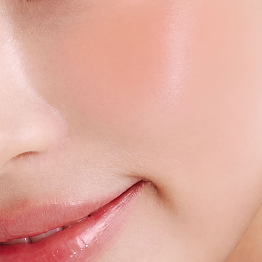 02 ピーチパイ使用イメージ。