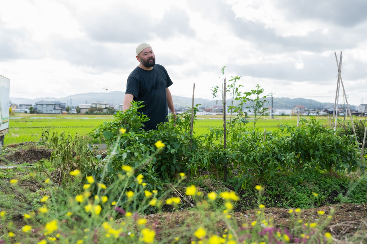 パーマカルチャーを実践している自家菜園では、さまざまな野菜やハーブを栽培。