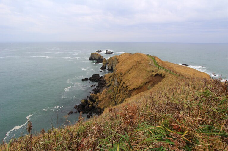太平洋に突き出している霧多布岬。馬の背のように細長くて両側が切り立った崖になっている。