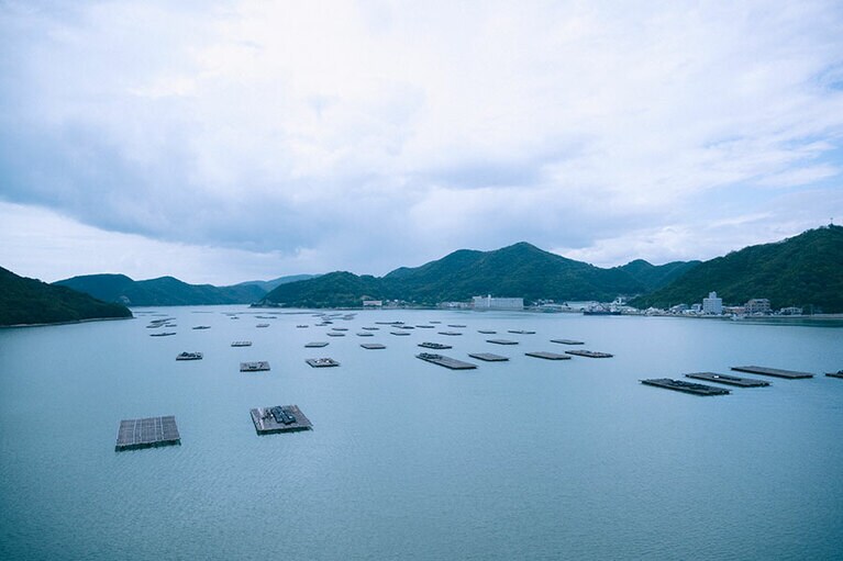 のどかな日生湾では、カキを養殖する筏（いかだ）が広がる。日生を代表する景観。