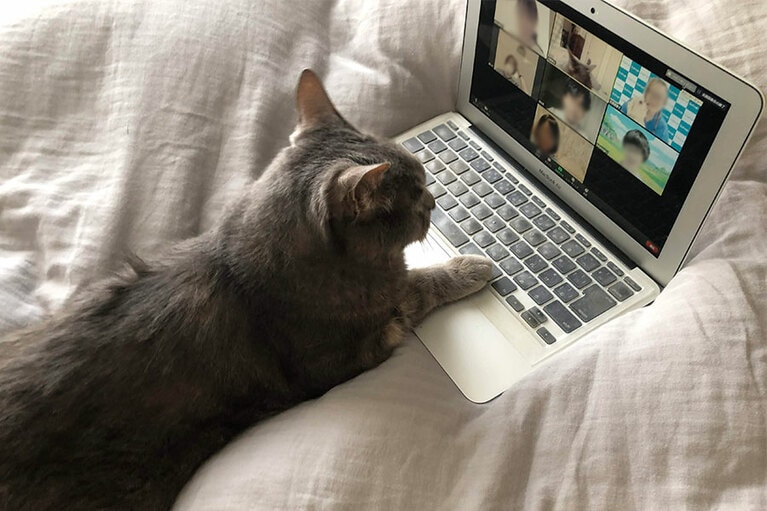 犬好きの愚飼い主はモモちゃんとの邂逅に歓喜。