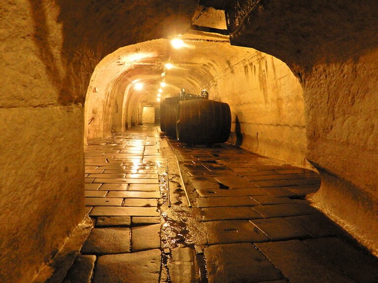 昔、醸造・発酵を行っていたひんやりした地下醸造室も見学コースに入っている。