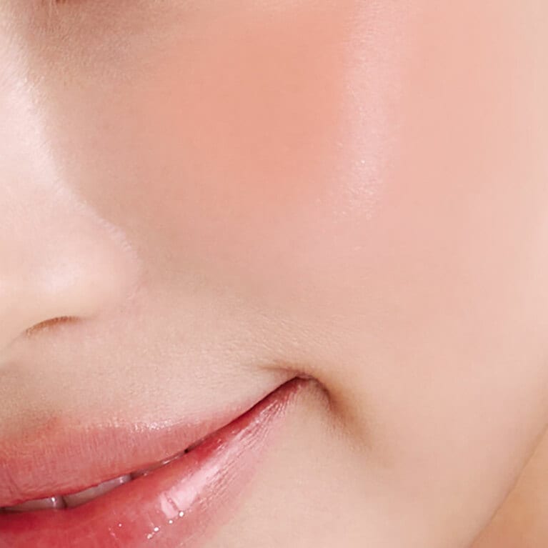 02 ピーチパイ使用イメージ。