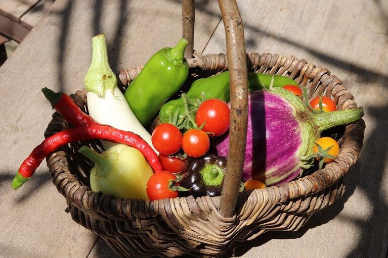 エネルギッシュな野菜たち。