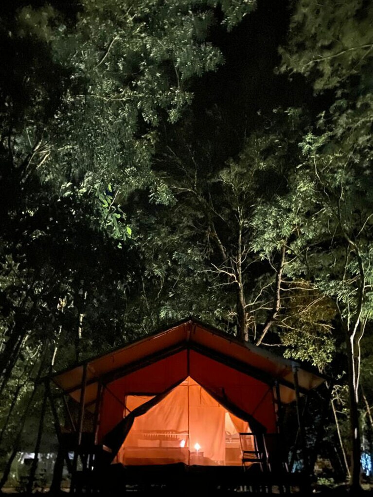 南洋の自然に包まれる、無人島の夜。