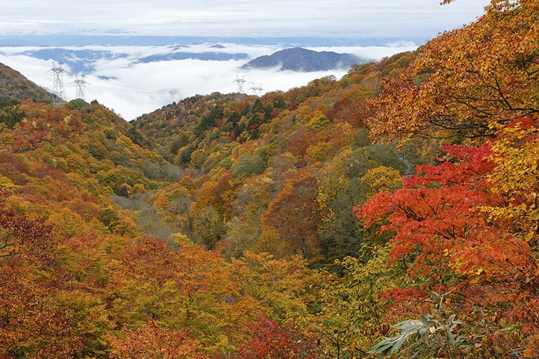 【岐阜県】天生県立自然公園。