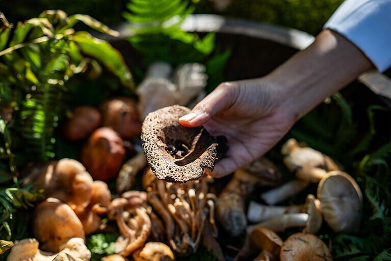 新潟県・里山十帖の秋