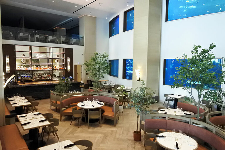 オーシャナリウムは10:30と14:30にダイバーによる餌やりが見られます。