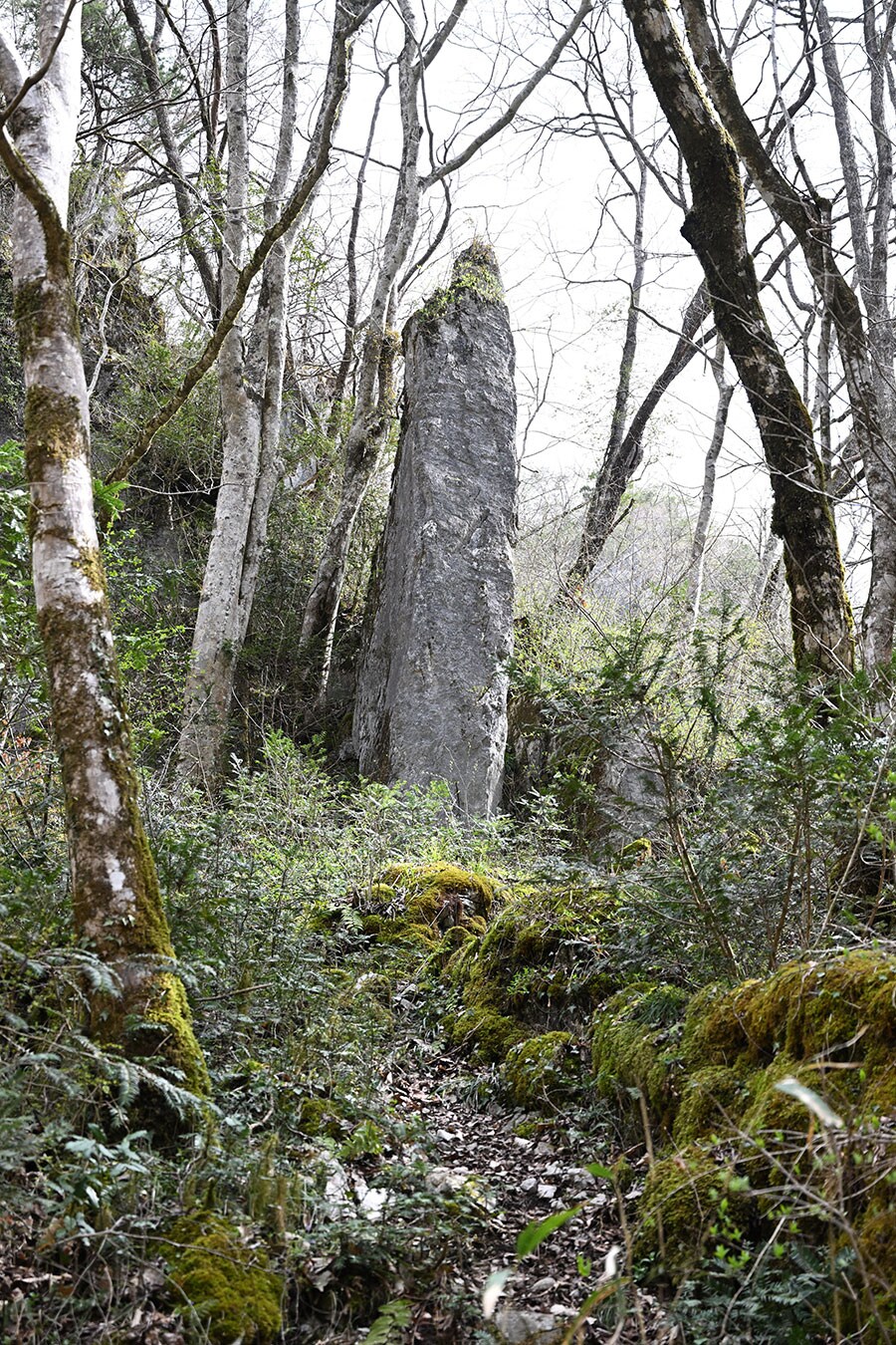 鬼の供養塔。10メートルにもおよぶ石柱。