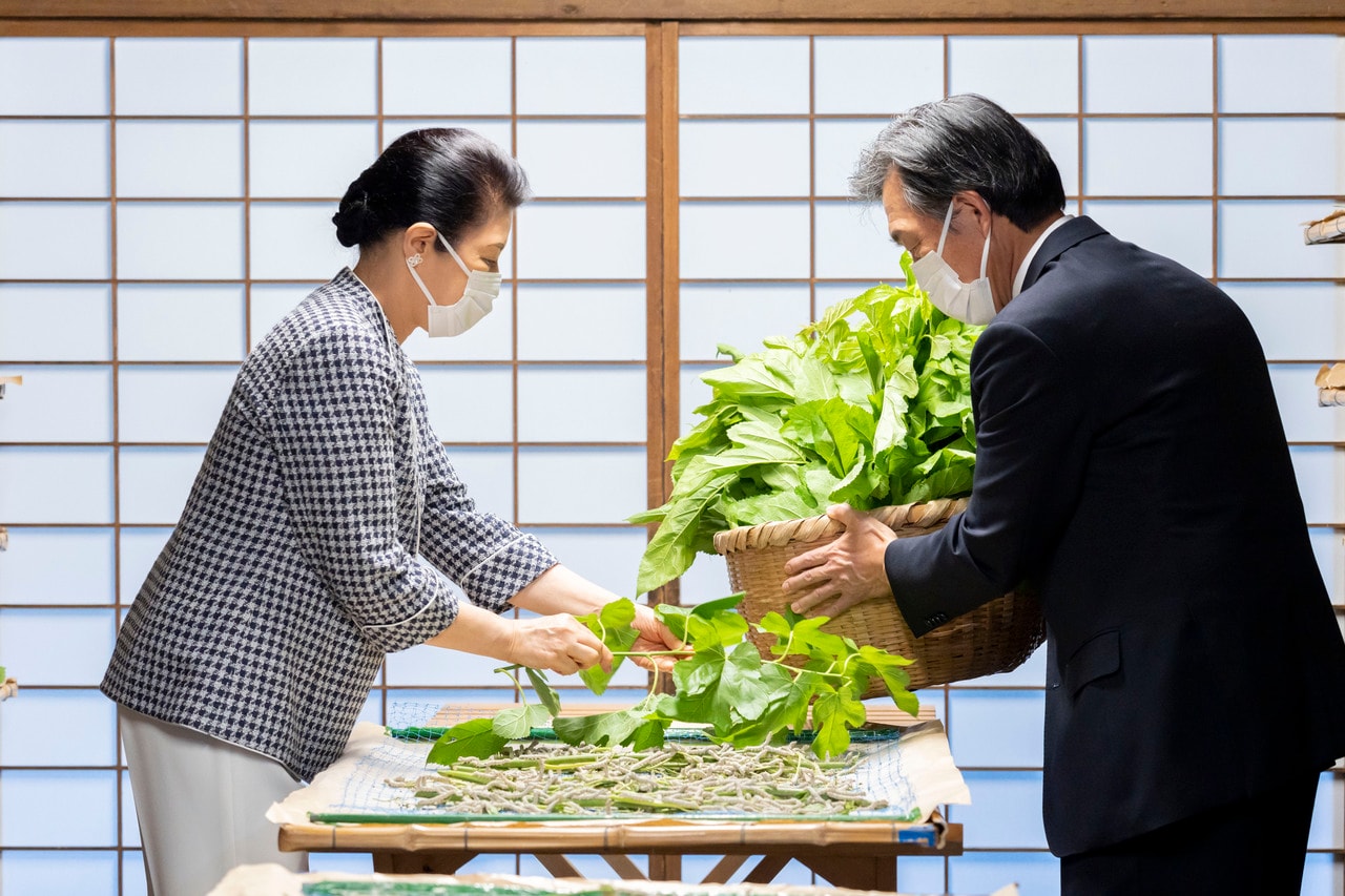 2024年6月、紅葉山御養蚕所で御給桑行事をされる雅子さま（宮内庁提供）