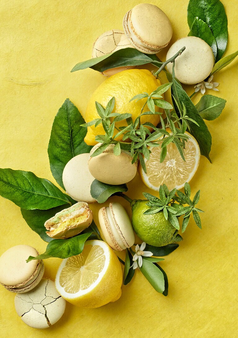 ピエール・エルメ・パリ 青山では「マカロンデー」のスペシャルパーティーを開催予定。2021年6月21日(月)、青山ブティック2F Heaven。※詳細はオフィシャルサイトにて。