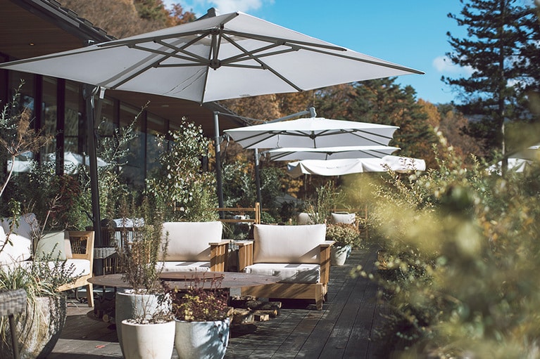 ロビーとガラス一枚隔てた外のテラスにも草花が生い茂る。