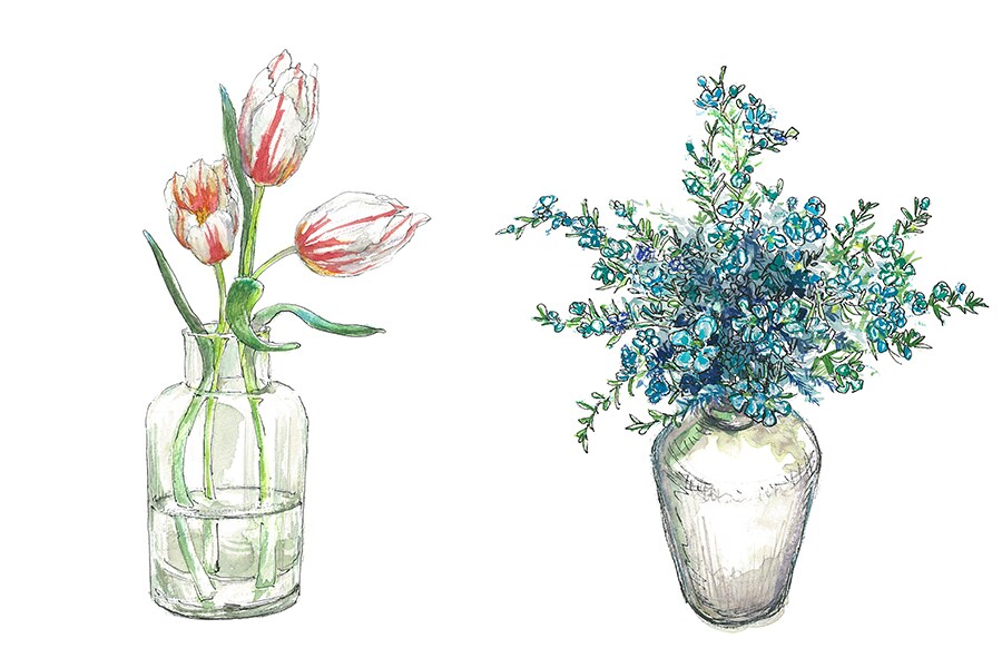 ブルームカレンダーで掲載したイラスト。写真左から、1月15日の花、チューリップ「ハッピージェネレーション」、9月15日の花、ワックスフラワー。