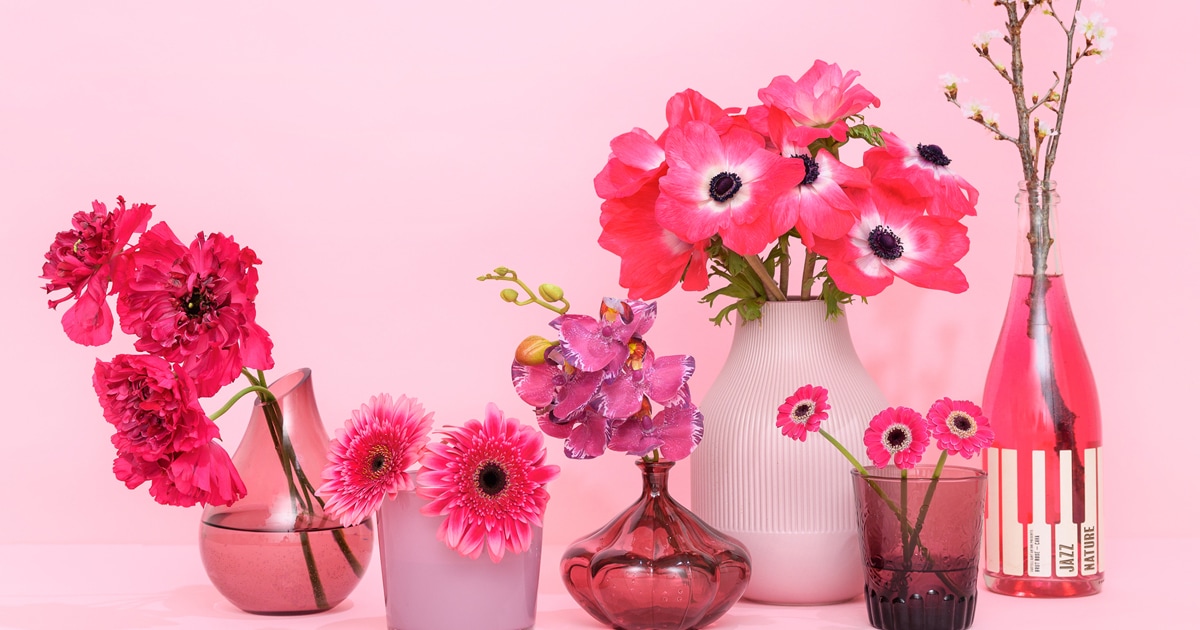 2023年春の注目色はピンク！ ピンクの魅力にどっぷり浸れる 花×花器の