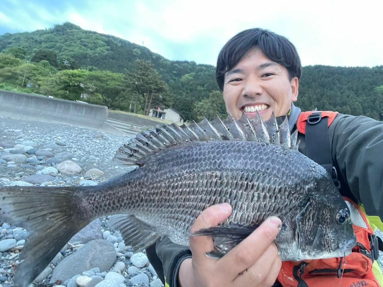 良型のクロダイ(これだけじゃない…! ホタルイカを餌にして釣れた高級魚まであと写真4枚)