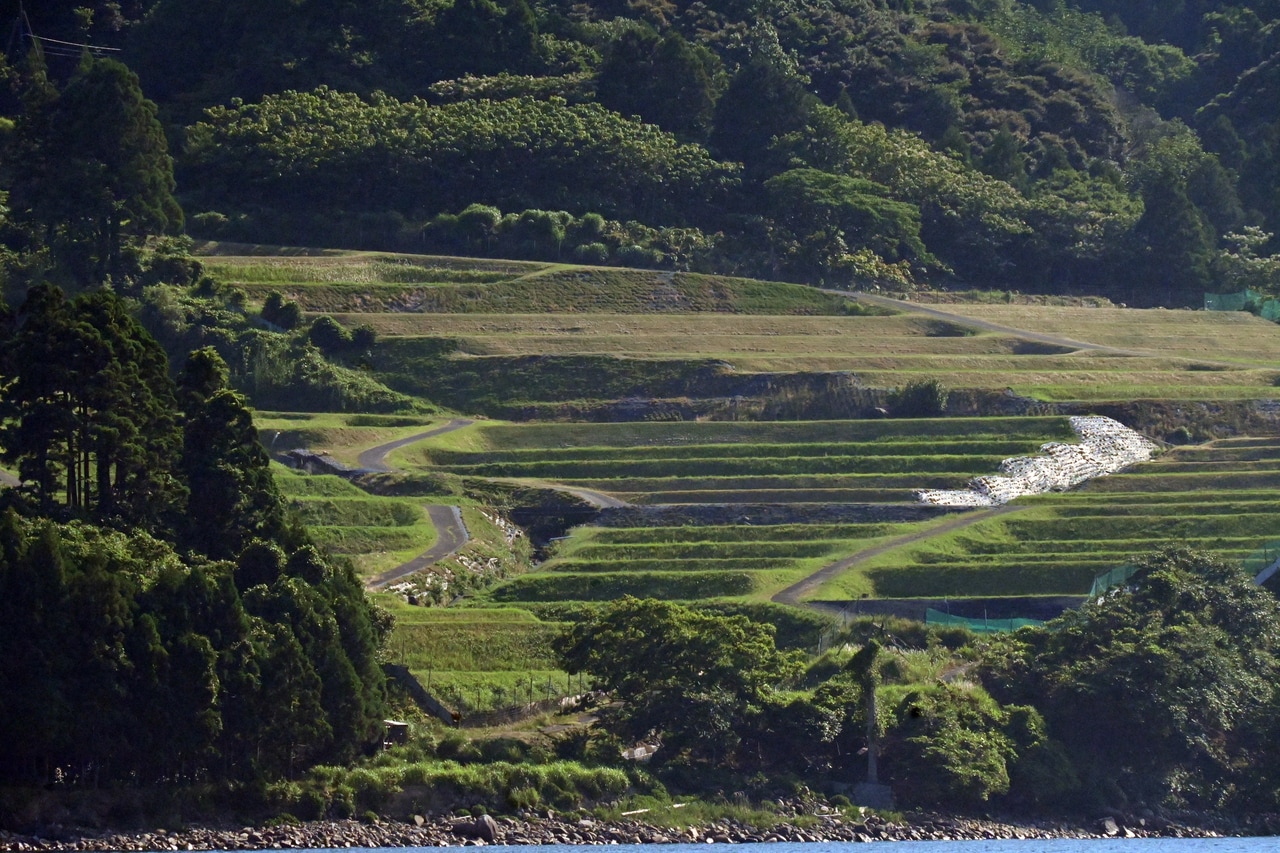 海から見た田烏の棚田。