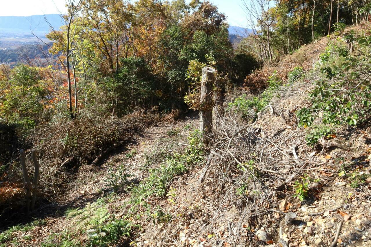 急斜面を横断する道には砂利も見られる