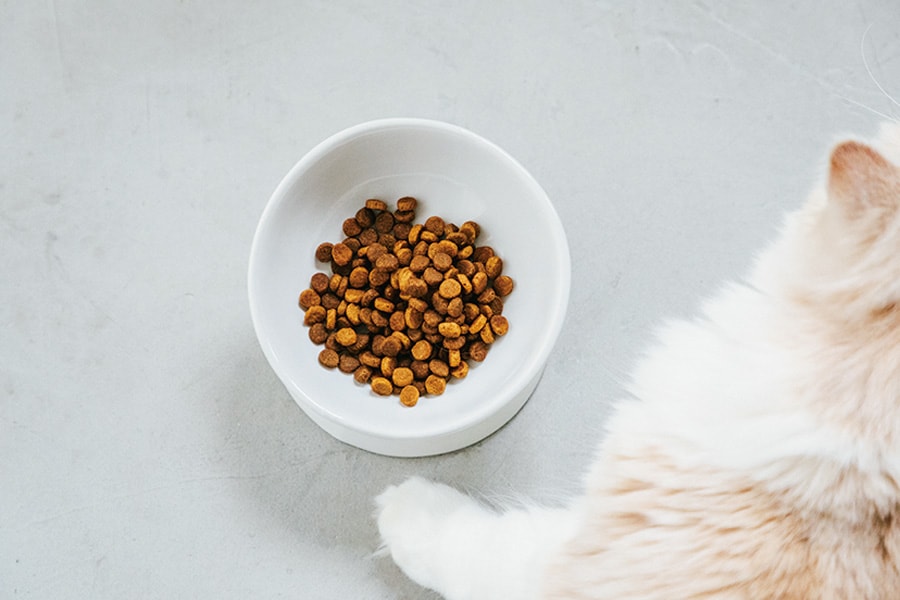 サーモンを第一主原料にした「ピュリナ プロプラン リブクリア 成猫用 サーモン」。小粒で食べやすい形状なのも魅力のひとつ。