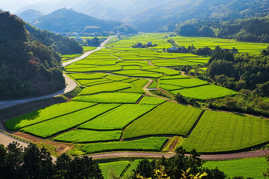 【2021年版】 いつか行きたい！ 日本の春の絶景 美しすぎる“棚田・田園風景”8選 | 今こそ行きたい！ 「日本にしかない風景」再発見 ...