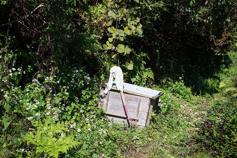 新潟県・里山十帖の秋