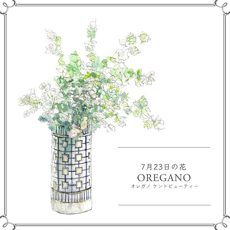 7月23日の花「オレガノ ケントビューティー」