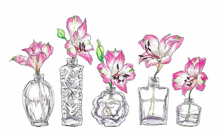 アルストロメリア「ハッピーフィート」。