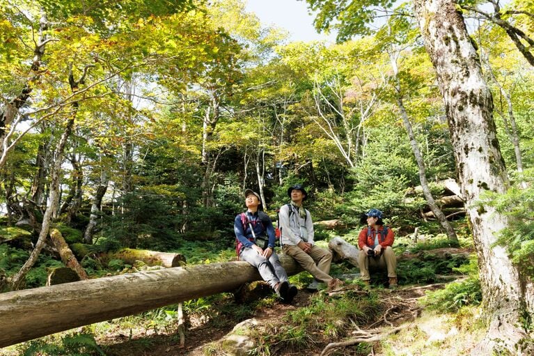 倒木に腰掛けて休憩。空気が澄んでいて、気持ちがいい。