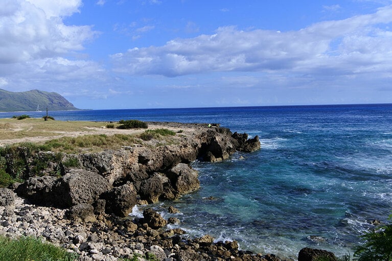 磯場で釣りを楽しむ人も。