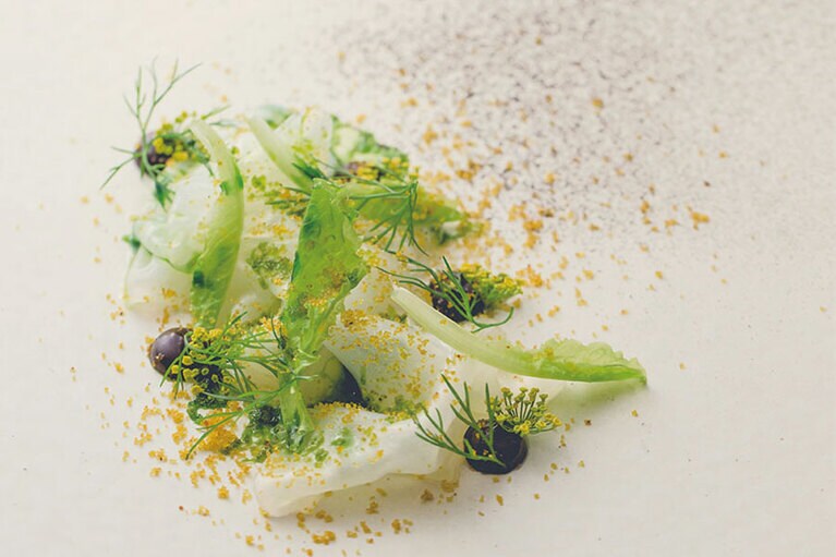 アオリイカを、烏龍茶と焦がしバターでさっと加熱し、フレッシュなA菜(台湾レタス)と。黒ニンニクと陳皮のソースやディルの花のオイル、黒ニンニクパウダーを散らして。こちらもコースの一例。
