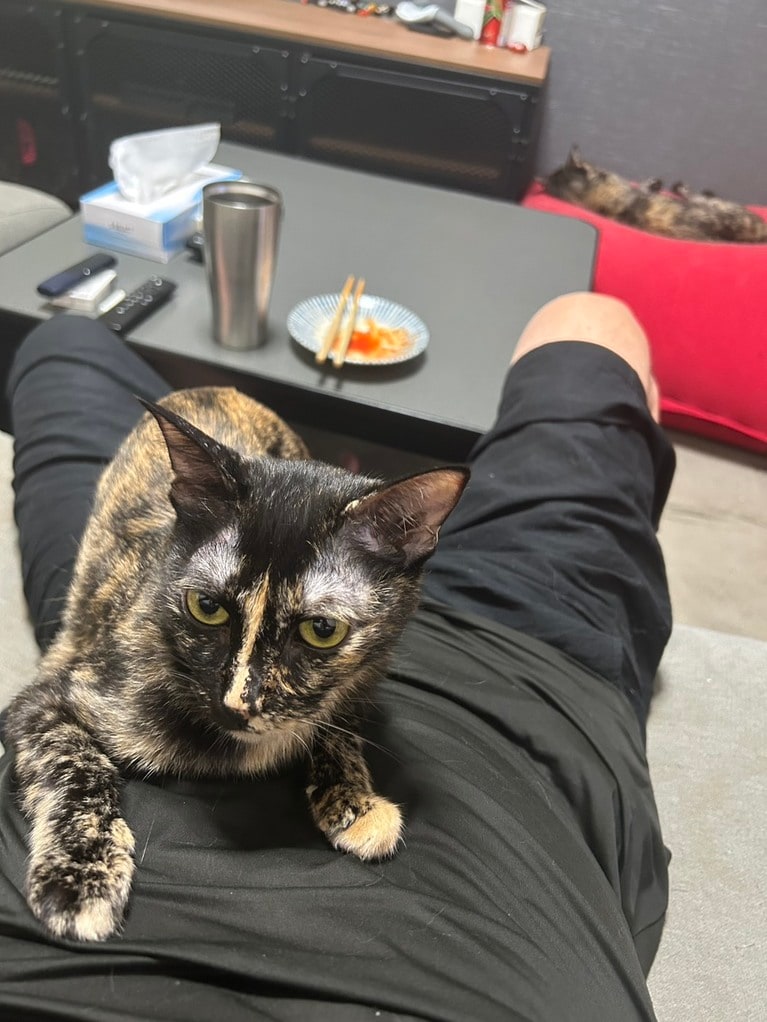 華山・やすいさんと愛猫のセンちゃん。