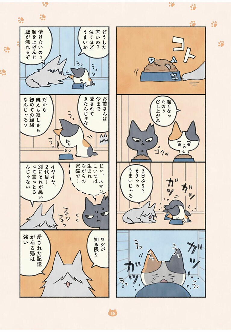 『もしもなんて来ないと思ってた猫』オキエイコ（実業之日本社）。