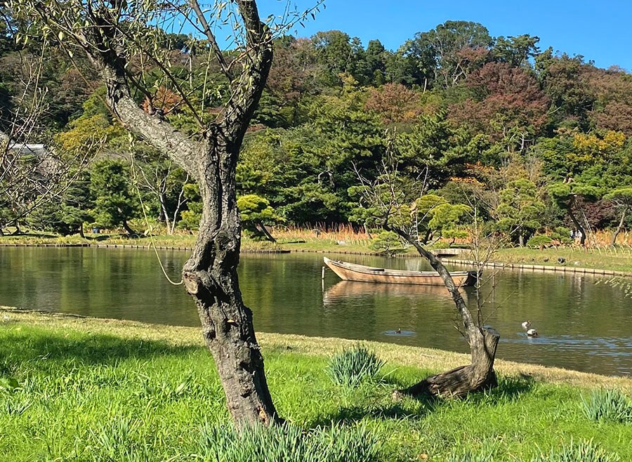 横浜の中心部でありながら、自然を満喫できる広大な庭園は、国の名勝にも指定されています。