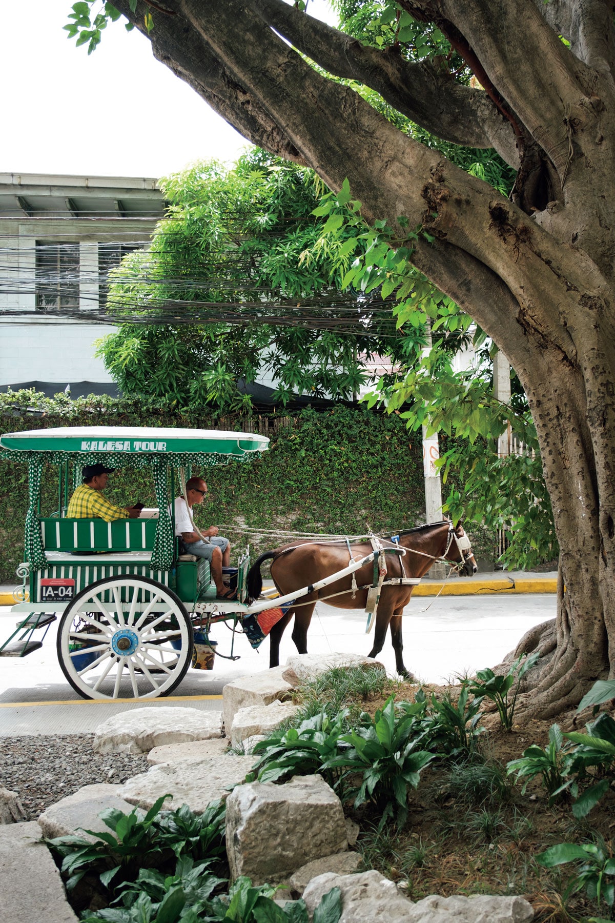 マニラの旧市街では観光用の馬車がのんびりと道を行く。