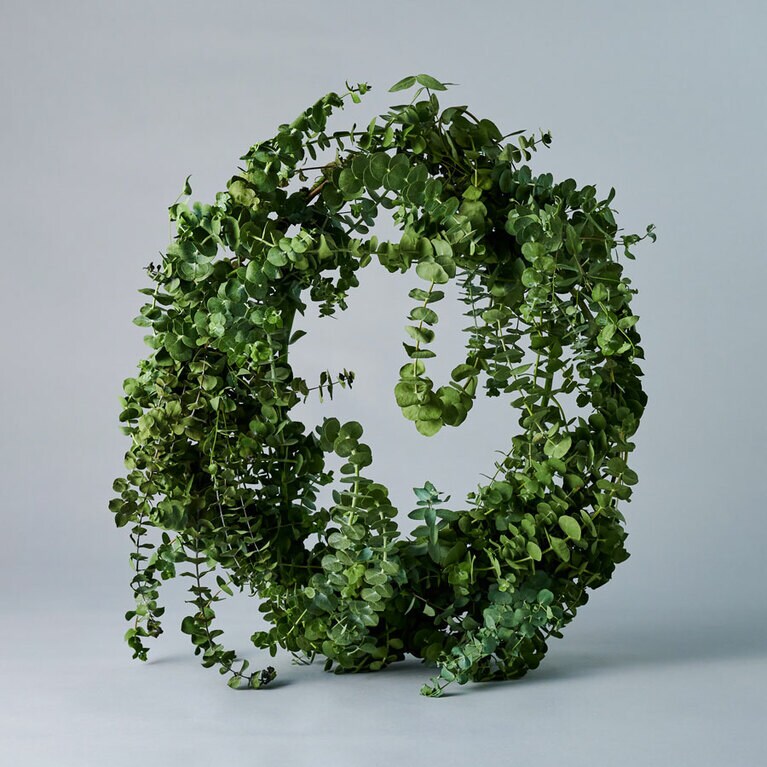 リース 直径約60cm 11,000円／ザ リトル ショップ オブ フラワーズ