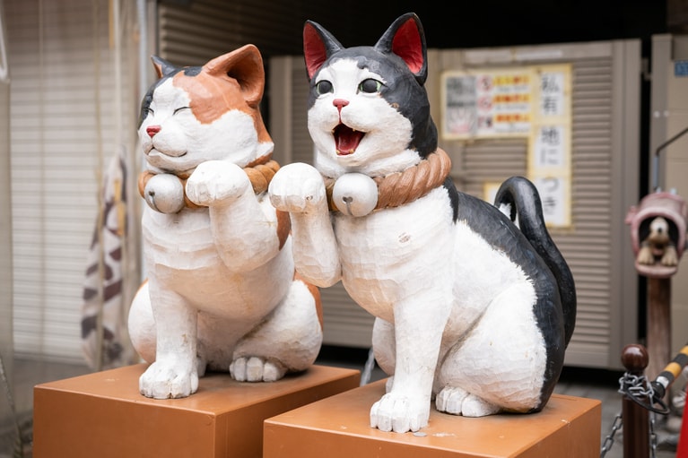 猫の街でもある。