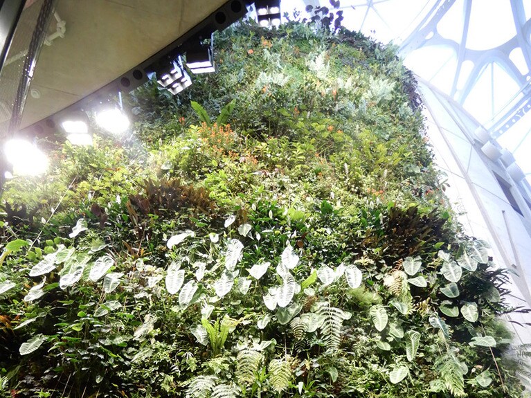 しっとりした空気の居心地のいい植物園でしょ。