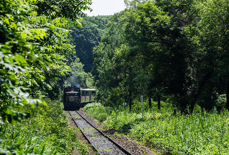 釧路湿原駅を走り去る「くしろ湿原ノロッコ号」。