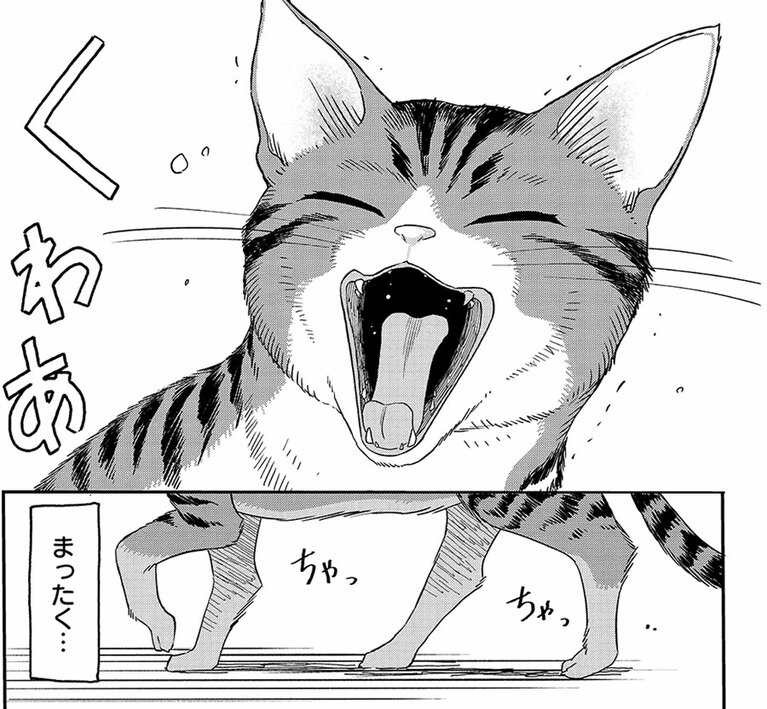 『にゃーの恩返し』第1話より。