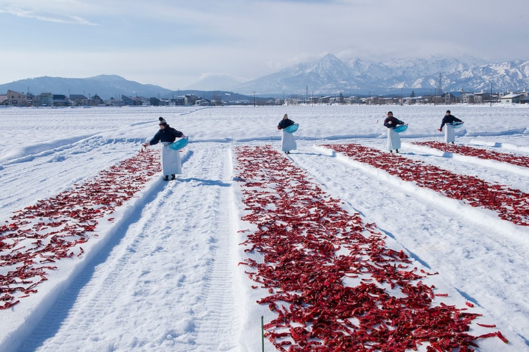 【新潟県】かんずりの雪さらし。