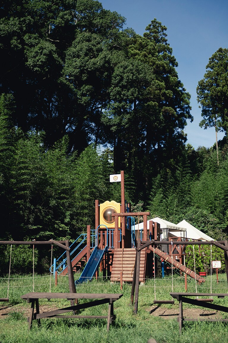 アスレチックは自由に使うことができる。