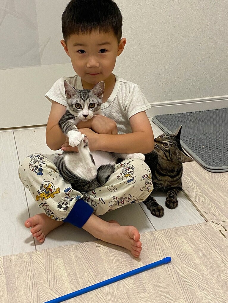 レゴくんとおにぎりくん ♂ 5カ月。2匹の猫ちゃん達がとにかく大好きで抱っこしたくて仕方ない息子くんです（にゃんこはじめてさん）