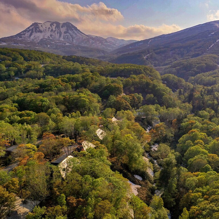 撮影：ショウヤ・グリッグ