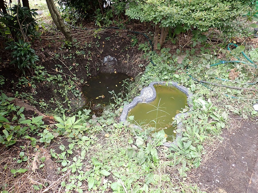 木の下にあるヒョウタン池と素掘りの池。素掘りの池は底土にペントナイトを混ぜ込み遮水しています。