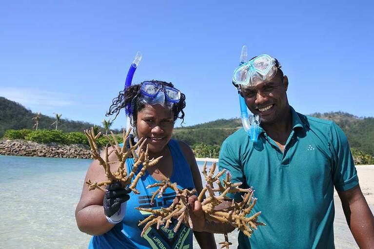サンゴを復活させるプロジェクトが進行中。