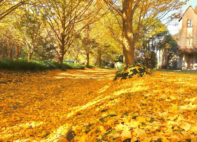 【宮崎県】祈りの丘空想ギャラリー。