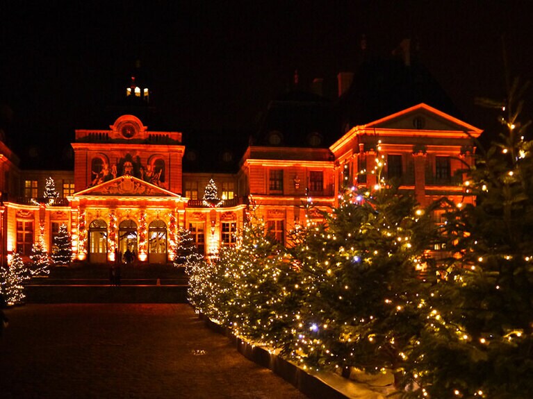 城へと続く道の木々もライトアップ。 “クリスマスツリーの道”と名付けたい。