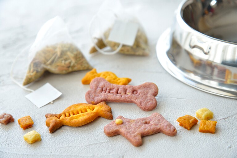 「シャンパンガーデン WITH MY DOG」1名18,000円（税・サ込）。「シャンパンガーデン in Green」のメニューにプラスし、わんちゃん用クッキー付き。3日前までに要予約。（※写真はイメージ）