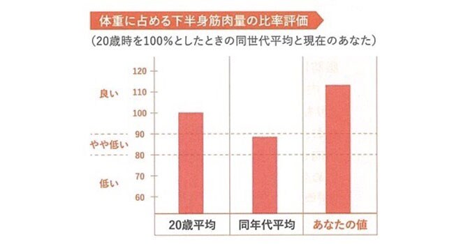 私の下半身の筋肉量は、20歳平均より多めでした。